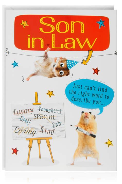 Funny Son-In-Law Birthday Card