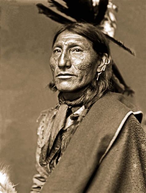 Oglala Chief Whirling Horse - Sasuke Wominigomani 1900 Native American Warrior, Native American ...