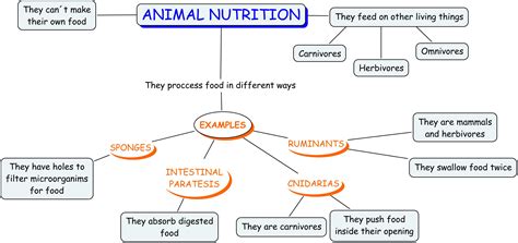 5- Characteristics of the animals: Nutrition & reproduction :: Learning ...