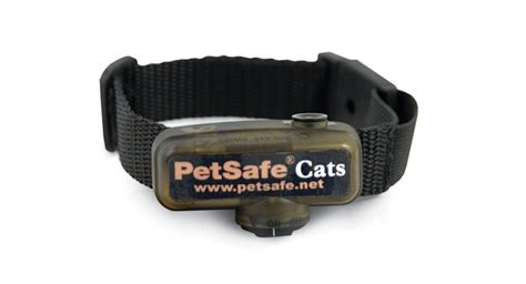 Cat Shock Collars: Everything You Need to Know