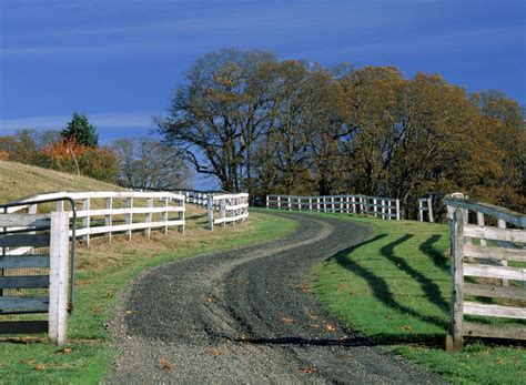 Pros and Cons of a Gravel Driveway