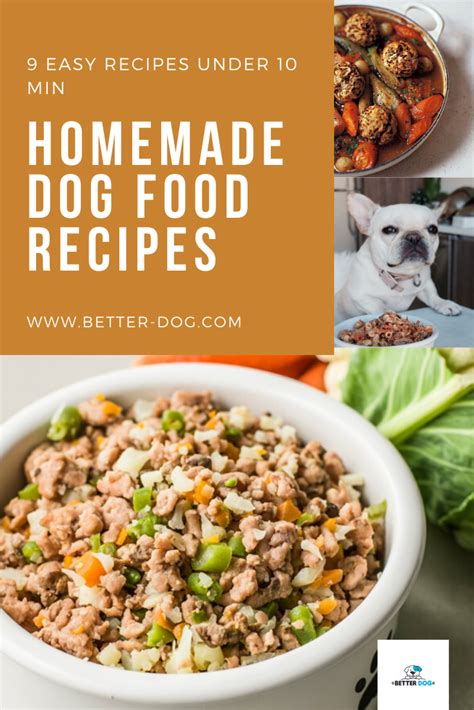 9 Easy-to-make Homemade Dog Food Recipes in 2020 | Homemade dog food ...