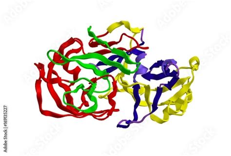 Molecular structure of pepsin, 3D rendering Stock Illustration | Adobe ...