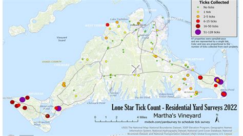 Tick, talk: Lone stars and tick bombs - The Martha's Vineyard Times