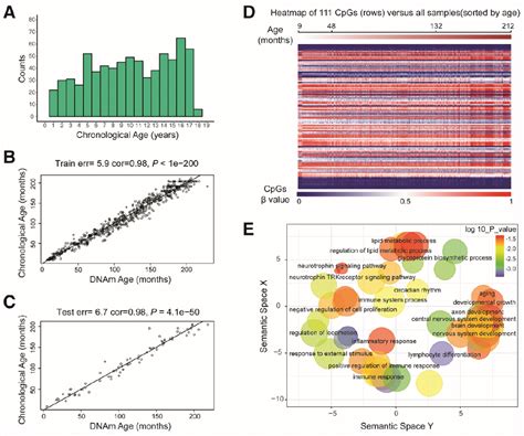 DNA methylation profile is a quantitative measure of biological aging ...