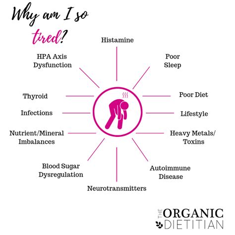 “Why am I so tired?” Uncovering the Root Causes of Fatigue + How to Heal Them - The Organic ...