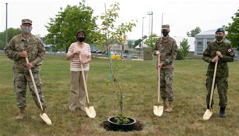 9/11 Memorial Survivor Tree seedling planted at EADS > Eastern Air Defense Sector > Article Display