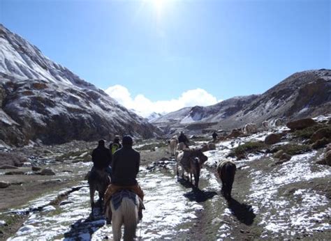 Trekking in Ladakh at Ladakh Holiday