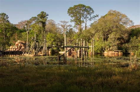 Photos of the abandoned Disney River Country Water Park - Business Insider