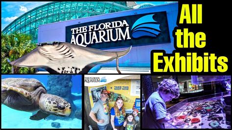 The Florida Aquarium | All the Exhibits at the Tampa Aquarium | What is ...