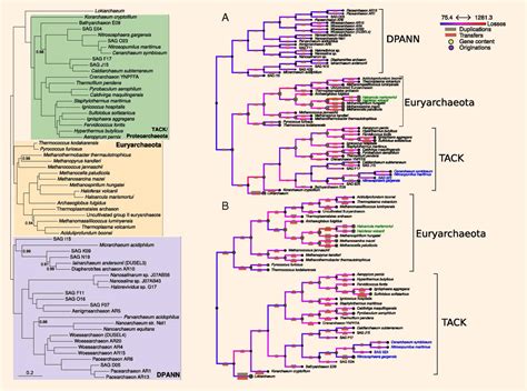 Scientists Improve Evolutionary Tree of Life for Archaea | Sci.News