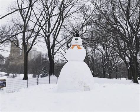 NYPD Central Park on Twitter: "Possibly the tallest snowman we have ...