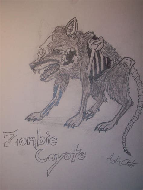 Zombie Coyote by Possum-luver on DeviantArt