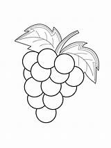 Grapes Coloring Pages To Download And Print For Free  Vrogueco sketch template