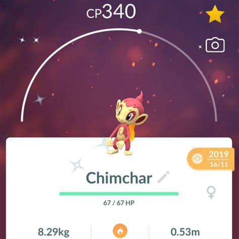 Chimchar 100% perfect IV stats shiny Chimchar in Pokémon Go explained ...