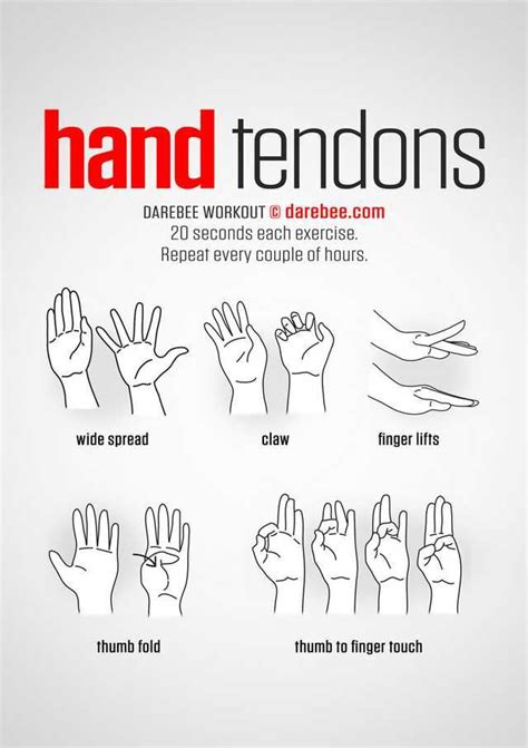 Hand & Wrist - Imgur | Exercise, Wrist exercises, Climbing workout