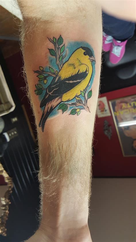 Washington Goldfinch by Kerry Linden Kent Washington | Finch tattoo, Yellow bird tattoo, Tattoos ...