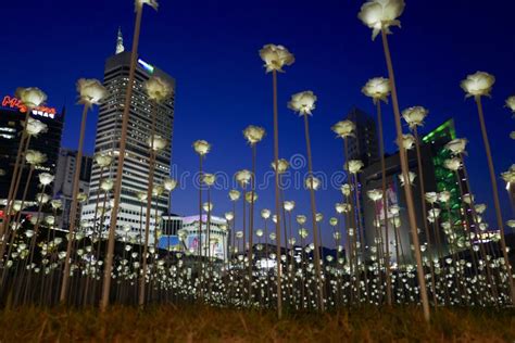 Seoul, Korea-May 19, 2017: LED Roses at Dongdaemun Design Plaza ...