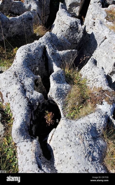 Karst landforms and gullies, geology of the limestone, geological trail on Gamser Rugg Mountain ...