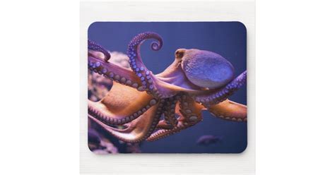 Octopus Mousepad | Zazzle