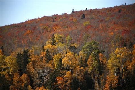 Photos and video: Fall colors peek through in Lutsen - Duluth News Tribune | News, weather, and ...