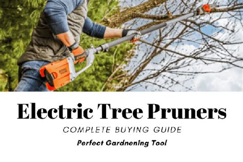 Best Electric Tree Pruners: Complete Buying Guide - Best Buy