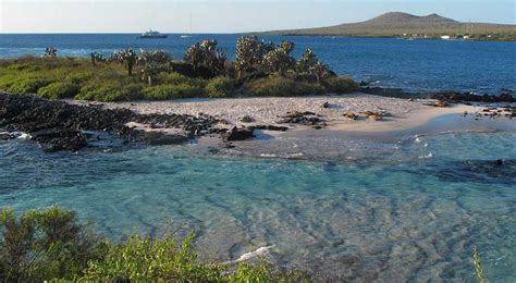 Floreana Island (Galapagos) cruise port schedule | CruiseMapper