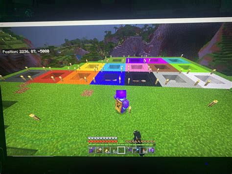 All 16 colors of sheep : Minecraft