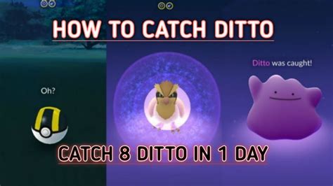 How to catch Ditto in Pokemon Go || How to find Ditto || catch Ditto in Pokemon Go || #Ditto ...