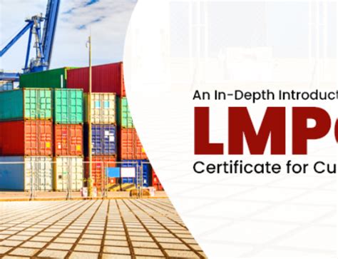 How to Apply lmpc Certificate online