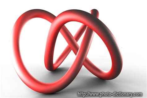 helix - photo/picture definition at Photo Dictionary - helix word and phrase defined by its ...