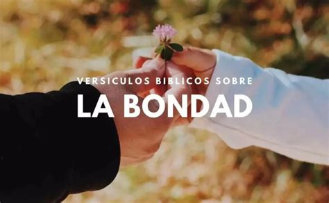 25 Versículos de la Biblia sobre La Bondad de Dios - NVI