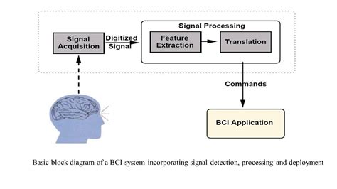 brain computer interface ppt - Scribd india