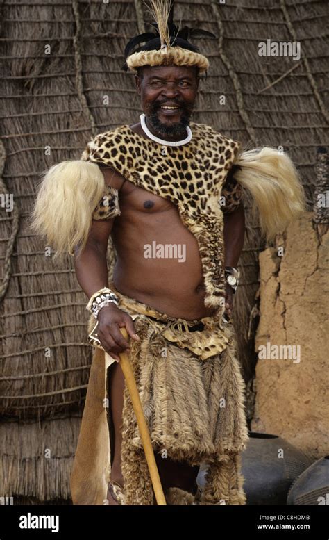 Zulu Folk, Zulu Warrior, Shakaland Kraal, Zululand, Kwa-Zulu-Natal, South-Africa, Africa, man ...