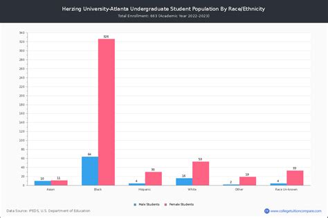 Herzing University-Atlanta - Student Population and Demographics