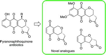 Exploring O-stannyl ketyl and acyl radical cyclizations for the synthesis of γ-lactone-fused ...