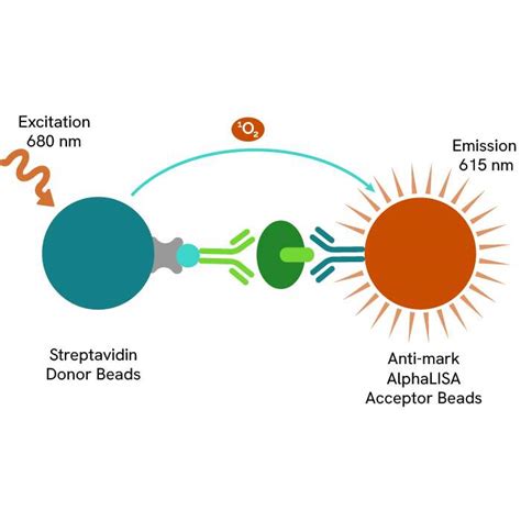 AlphaLISA Tri-Methyl-Histone H3 Lysine 27 (H3K27me3) Detection Kit, 500 Assay Points | Revvity