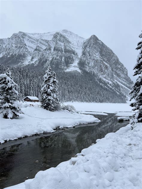 Lake Louise, Alberta 🇨🇦 last week : r/winterporn