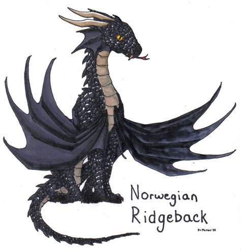 Norwegian Ridgeback Dragon - Harry Potter