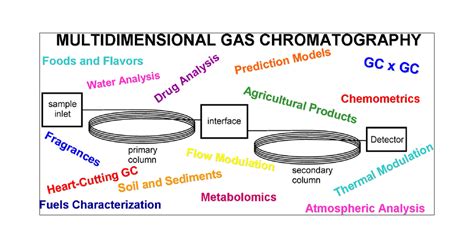 Column Gas Chromatography