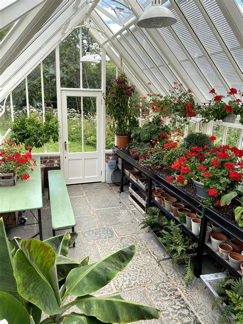 Greenhouse Interior Layout Inspiration | Greenhouse interiors ...