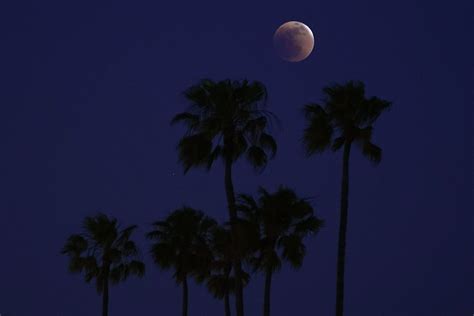 PHOTOS: Super blood moon total eclipse - WTOP News