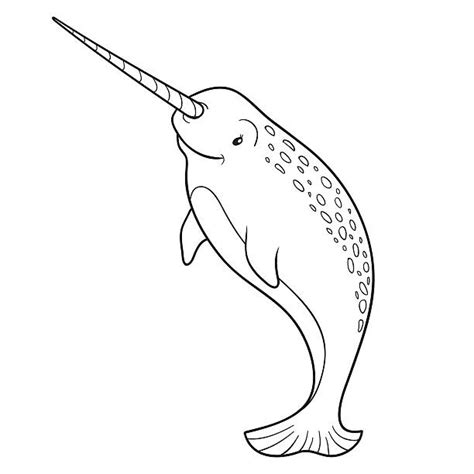 Royalty Free Narwhal Clip Art, Vector Images & Illustrations - iStock