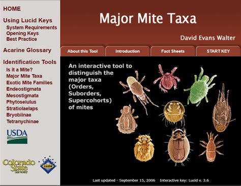 Invasive Mite Identification: Tools for Quarantine and Plant Protection ...