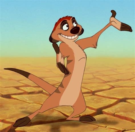 Timon | Disney Princess Wiki | Fandom