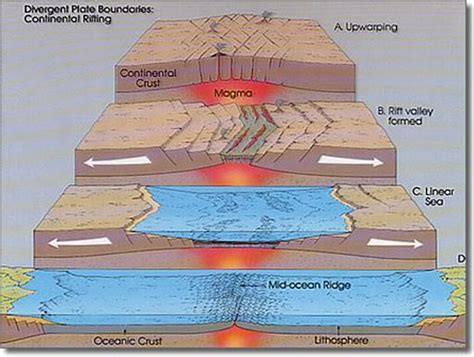 Sketch, label, and explain an oceanic divergent boundary (mid-ocean ridge). In addition, sketch ...