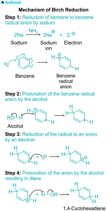 Birch Reduction Mechanism: Learn Mechanism, Example, Features