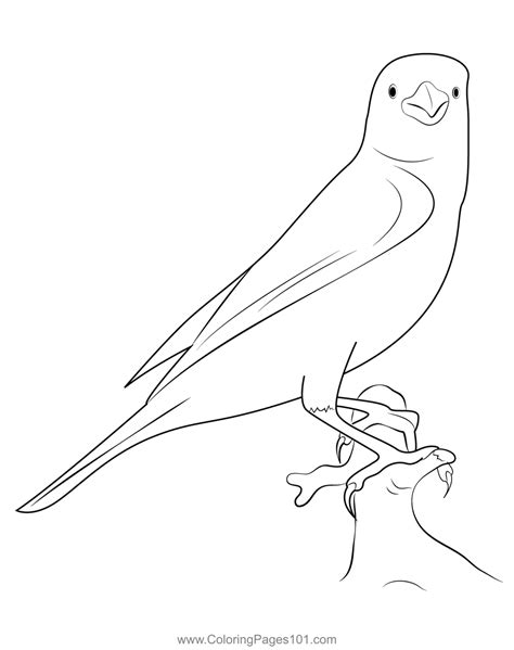 Canary Bird 7 Coloring Page for Kids - Free Finches Printable Coloring ...