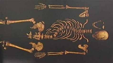 Skeleton Found in Leicester Car Park Confirmed as Richard III