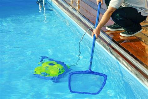 A Guide to Essential Swimming Pool Maintenance | Ottawa Home & Garden